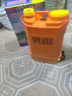Rechargable Battery Sprayer With a Removable Battery
