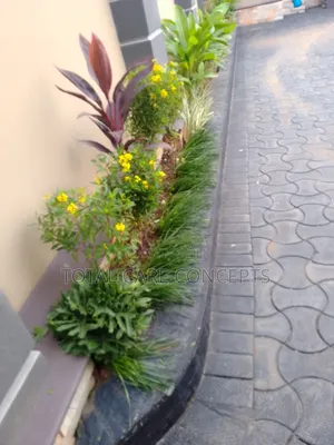 Modern Gardening Concepts Contractors