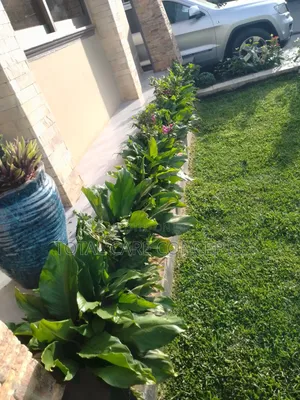 Modern Gardening Concepts Contractors