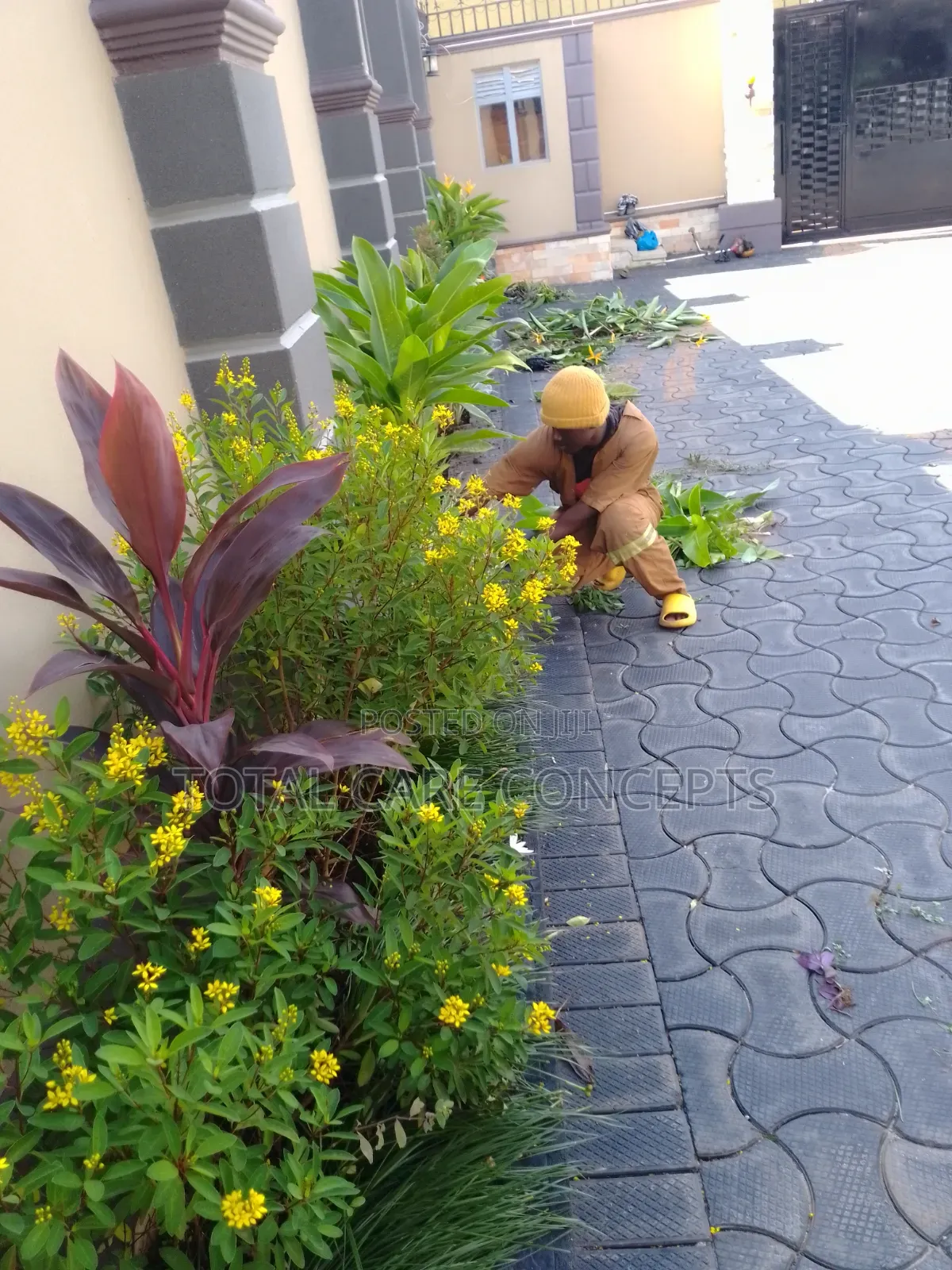 Modern Gardening Concepts Contractors