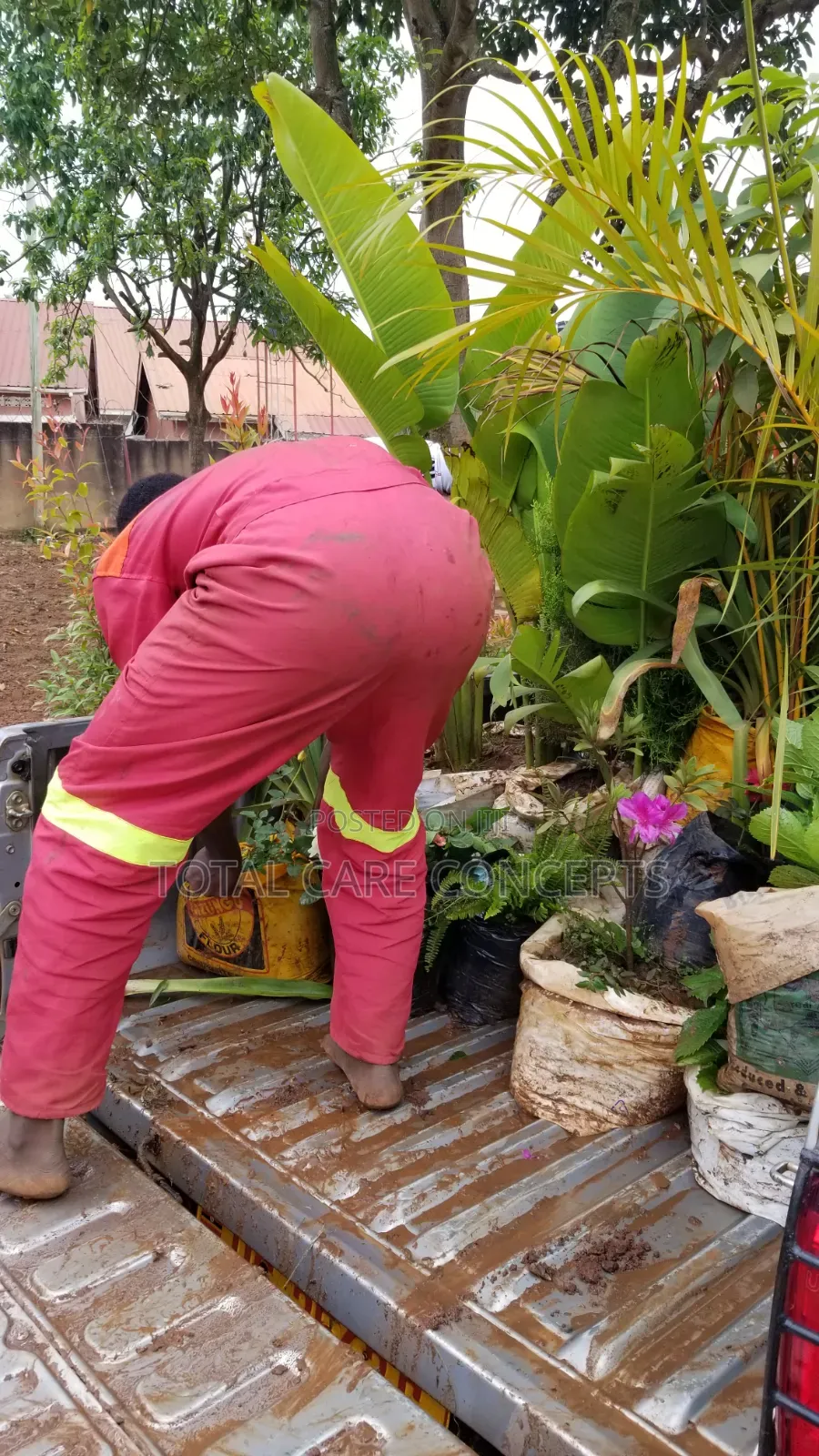 Modern Gardening Concepts Contractors