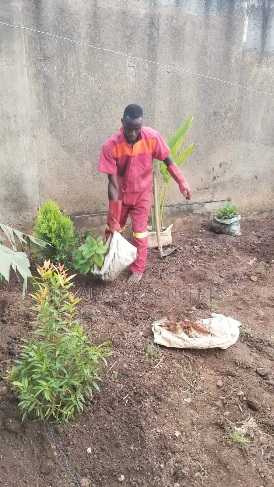 Modern Gardening Concepts Contractors