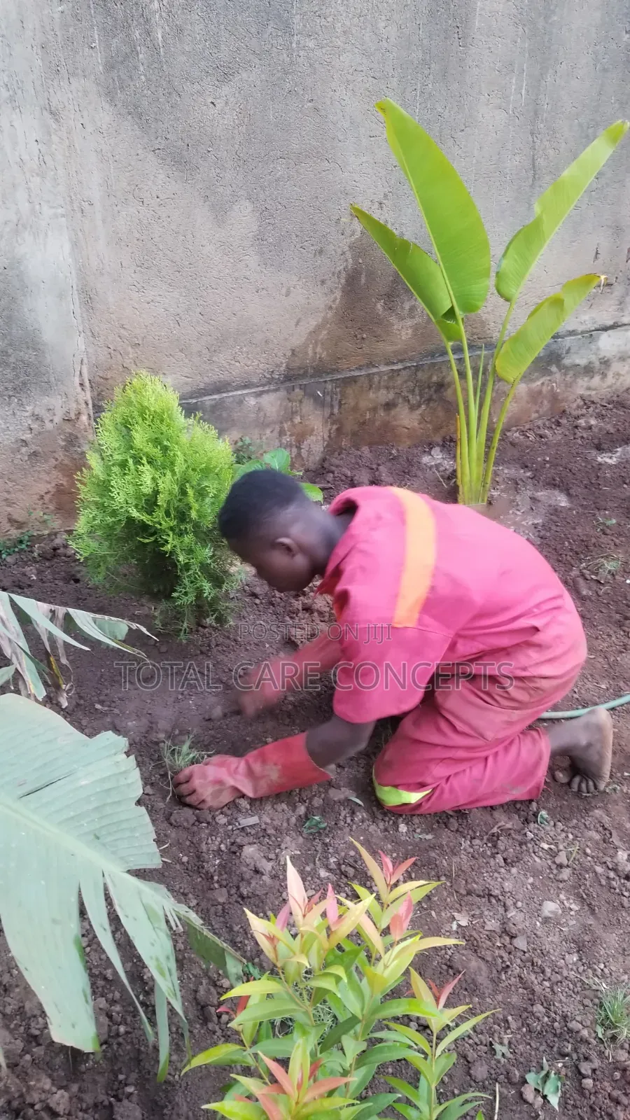 Modern Gardening Concepts Contractors