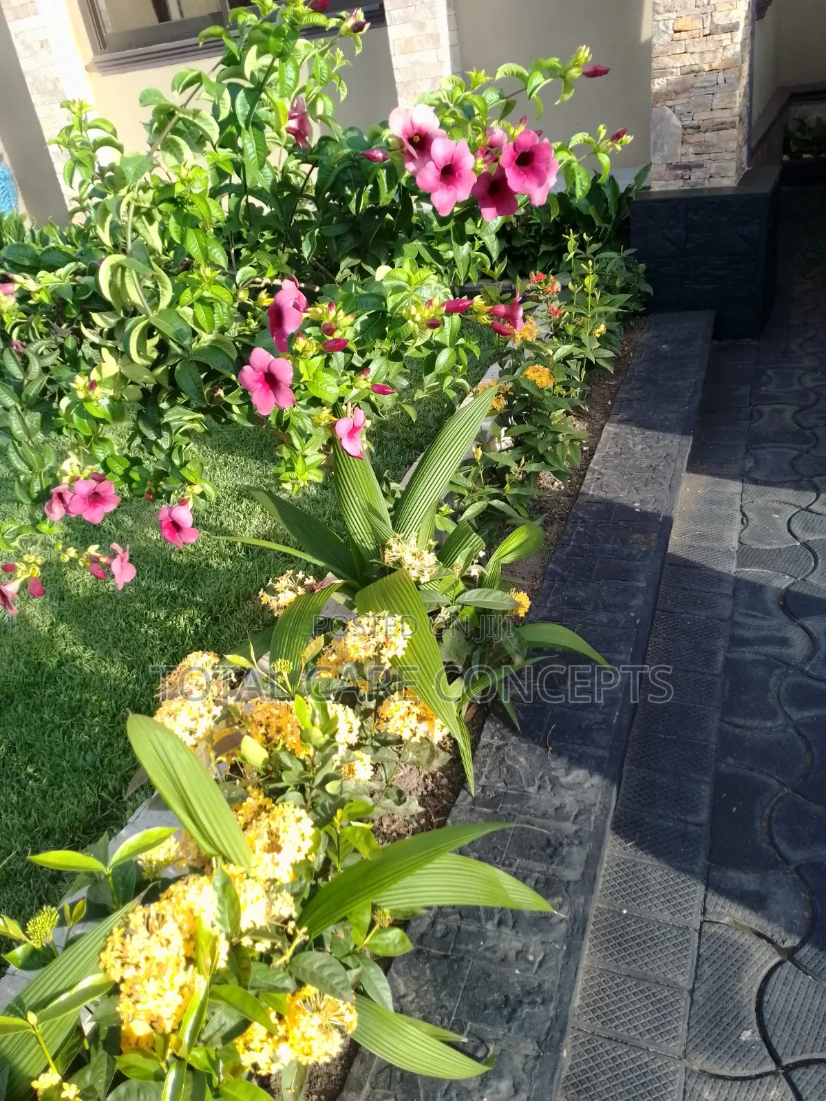 Modern Gardening Concepts Contractors