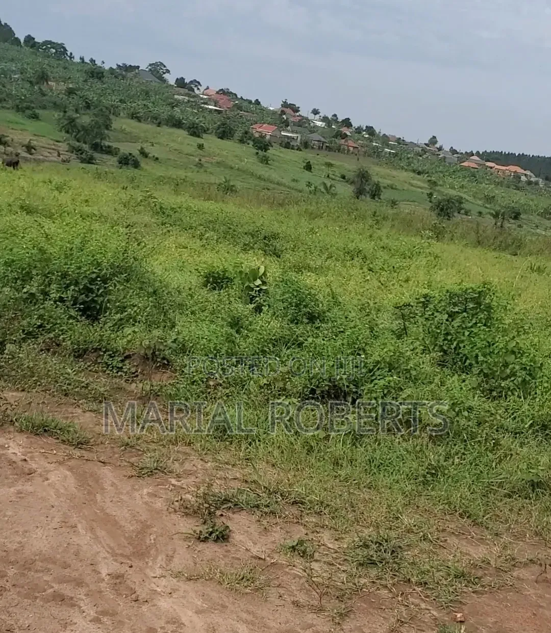 Titled Plot of Land in Matugga Kigogwa