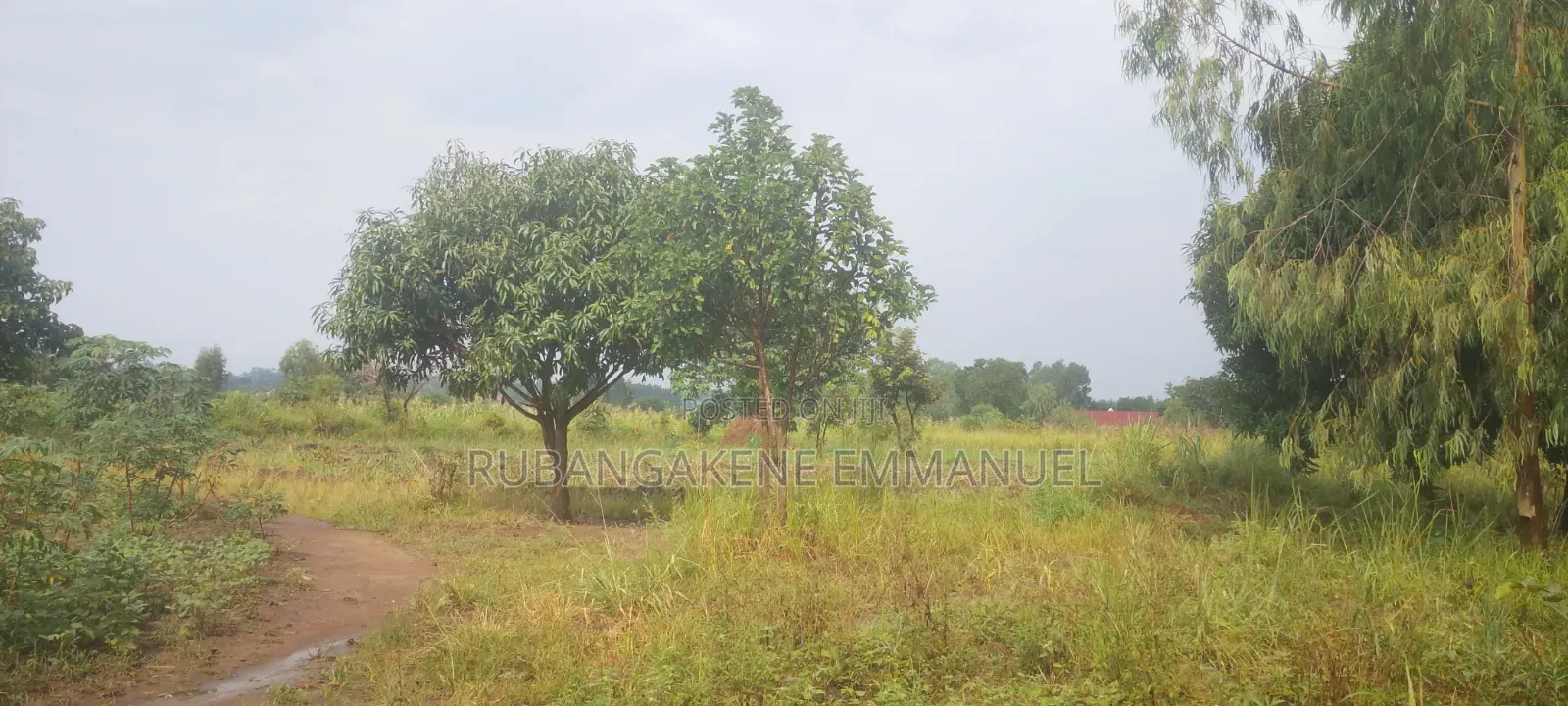 Affordable for Both Settlement and Investment