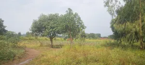 Affordable for Both Settlement and Investment