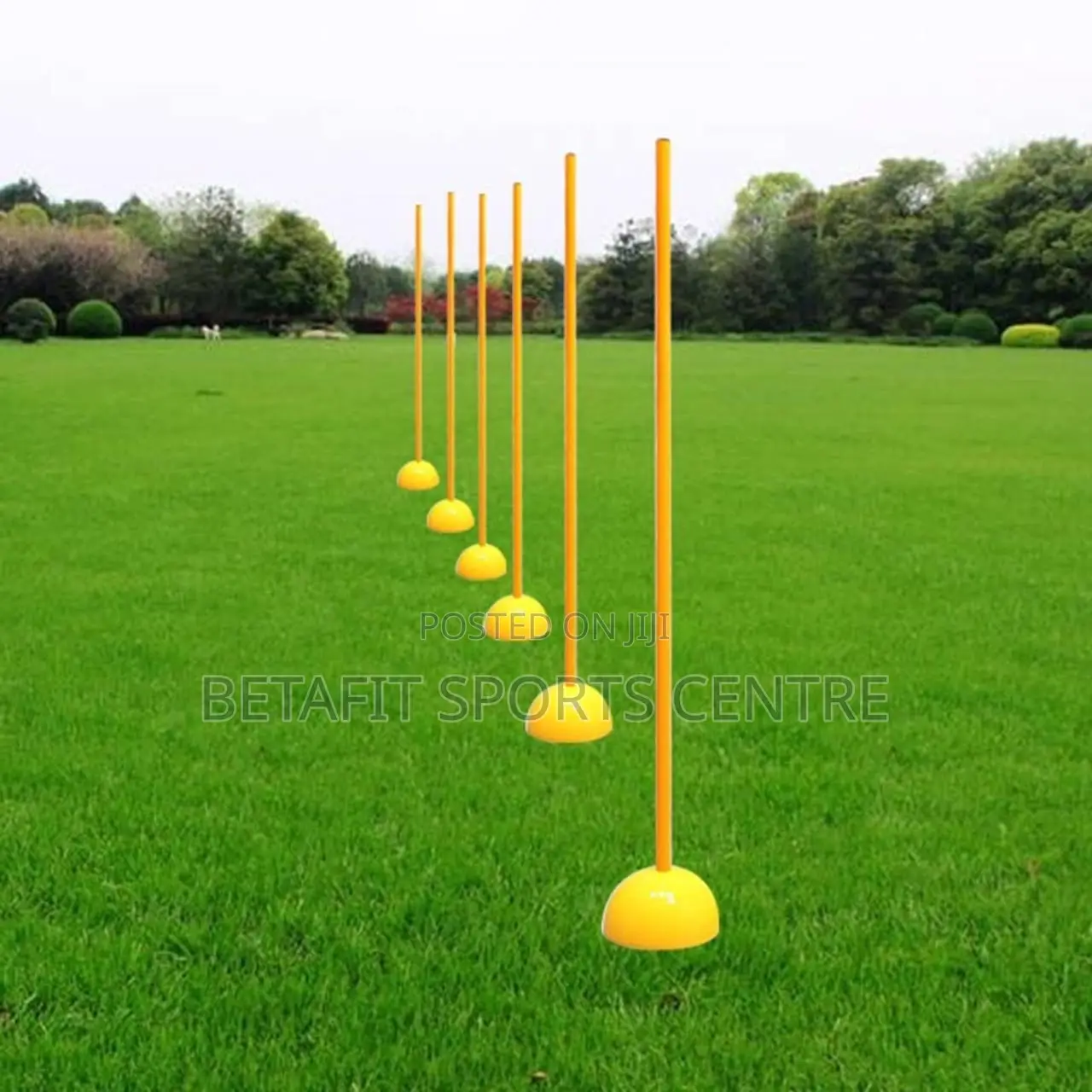 Agility Training Poles (Yellow)