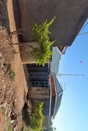 4bdrm House in Busula, Wobulenzi TC for sale