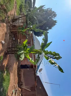 4bdrm House in Busula, Wobulenzi TC for sale