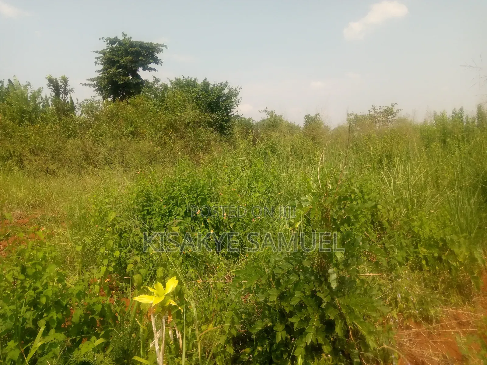 Land for Sale