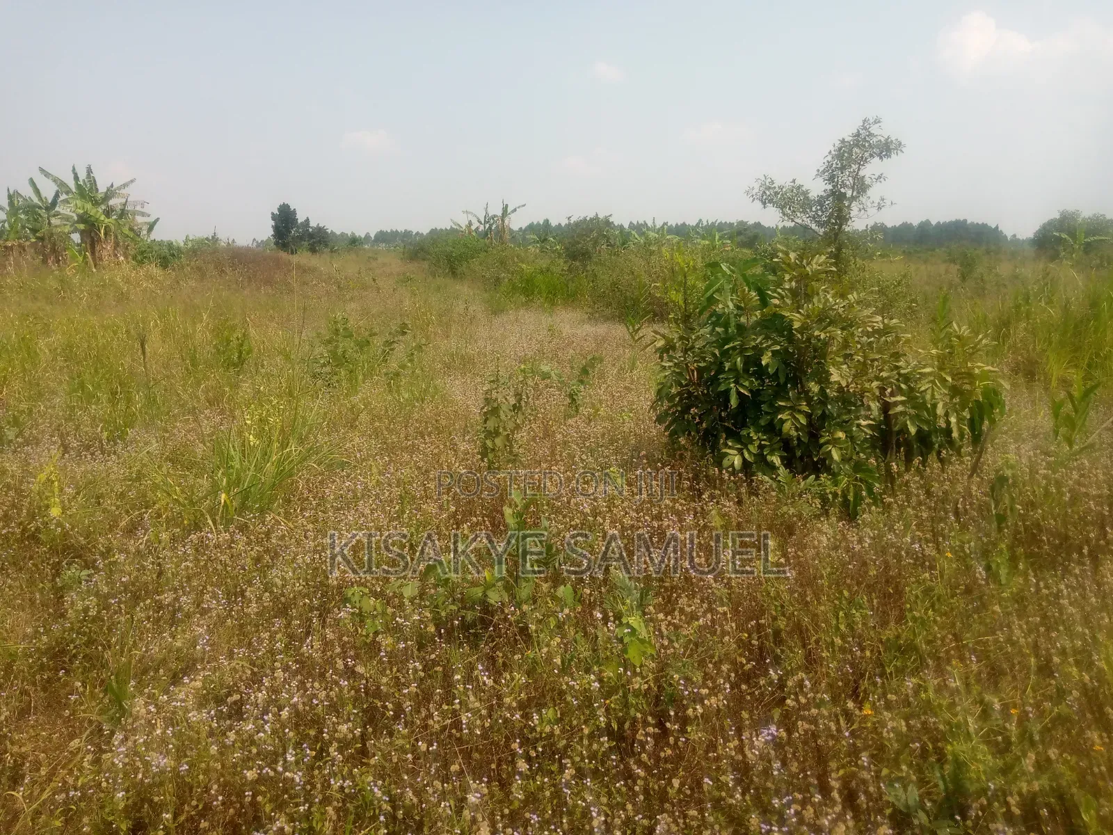 Land for Sale