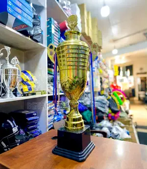 Golden Metal Sports Cup Trophy