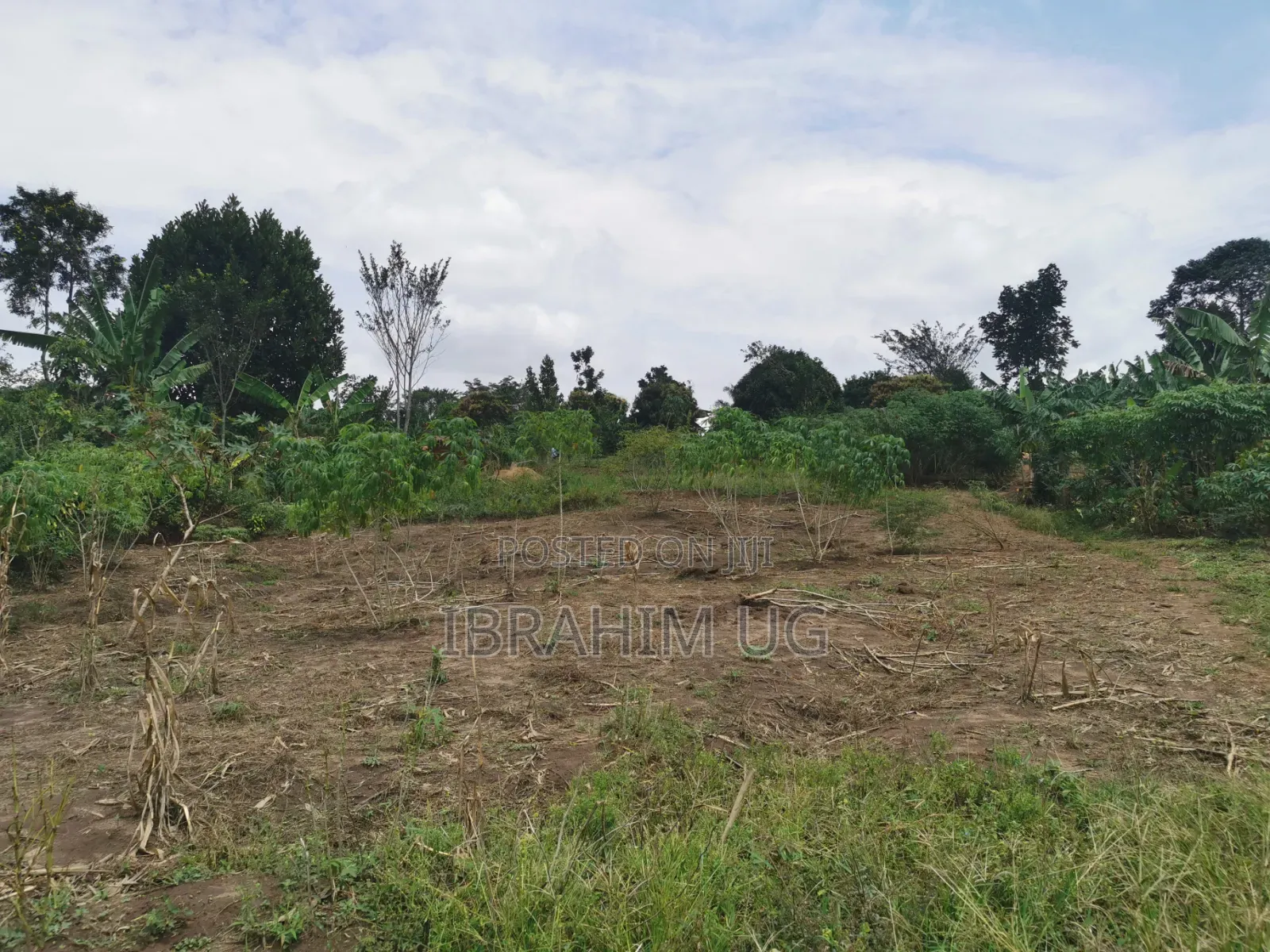 1 Acre of Land at in Ndese Mukono at 45 M