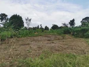 1 Acre of Land at in Ndese Mukono at 45 M