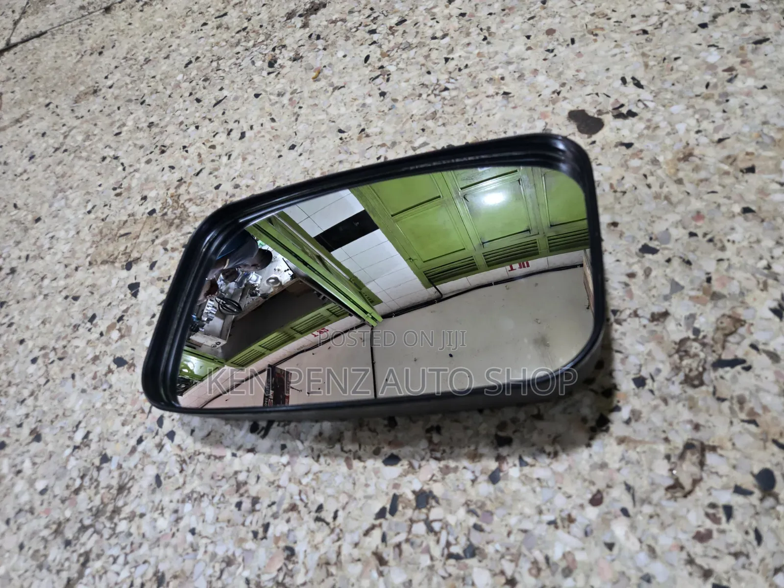 Dyna and Canter Baby Face Sidemirror