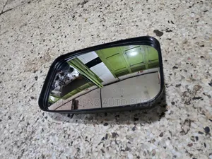 Dyna and Canter Baby Face Sidemirror
