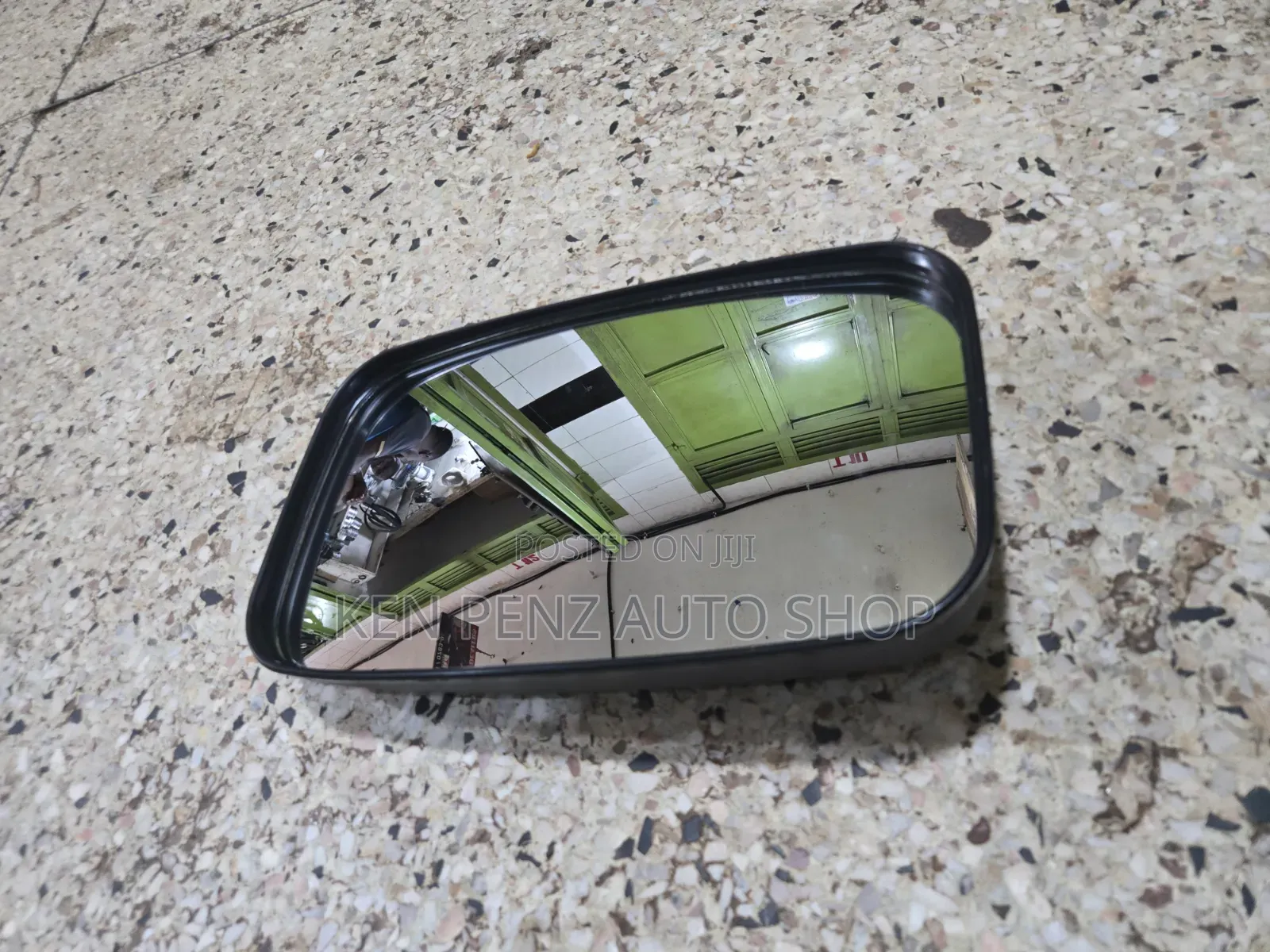 Dyna and Canter Baby Face Sidemirror
