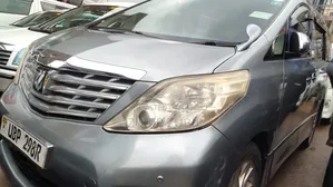 Toyota Alphard 2010 Gray