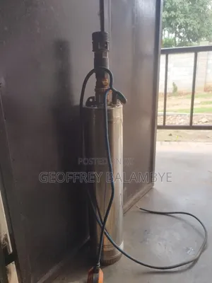 Pedrollo Water Pump