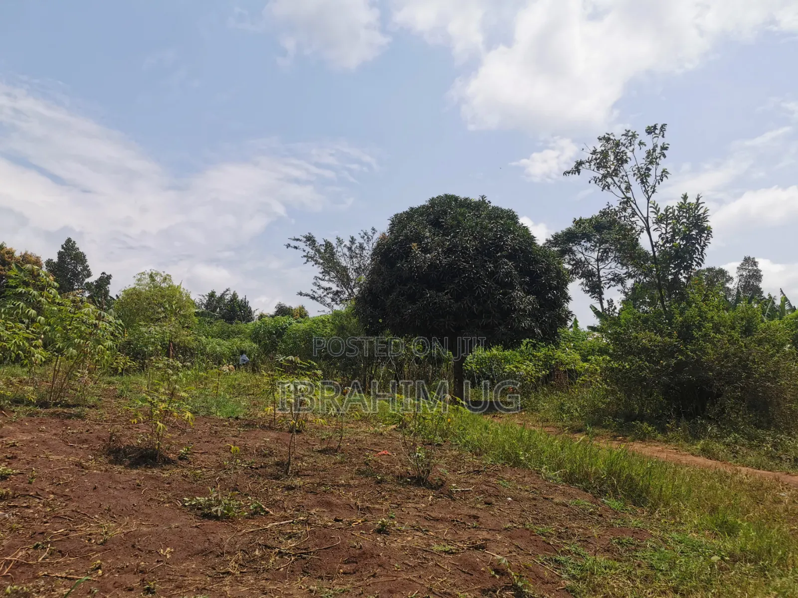 1 Acre of Land at in Ndese Mukono at 45 M