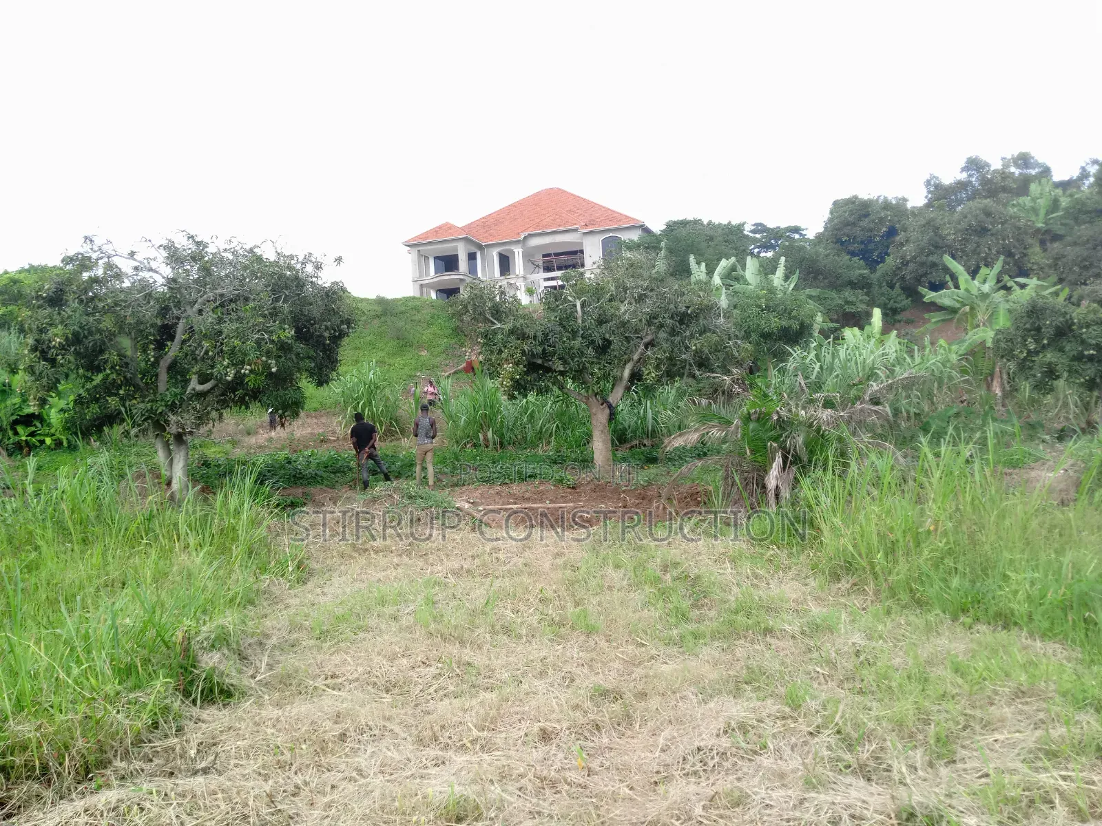 Building and Construction Services