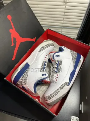 Nike Air Jordan 3 Retro All Cools