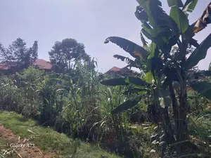 Land for Sale – Busega