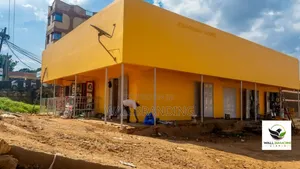 Industrial Outdoor Wall Branding Painting Advertising in Uganda Kampal