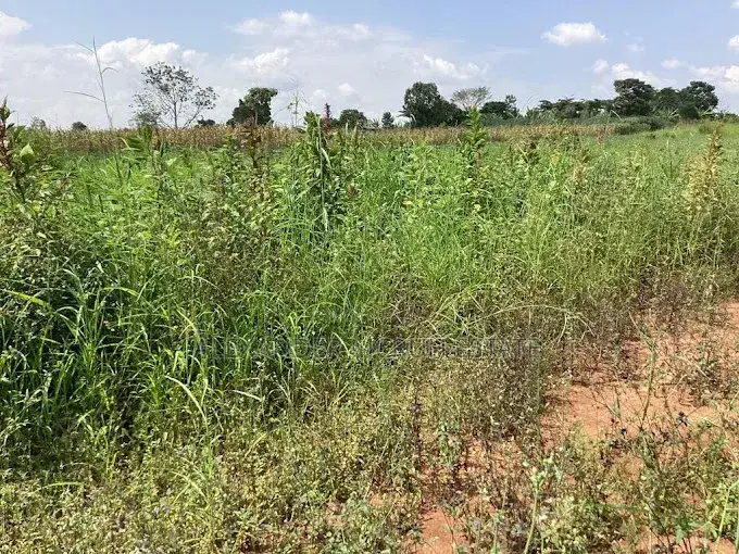 100x100 in Bulamu Mityana Road 28,000,000