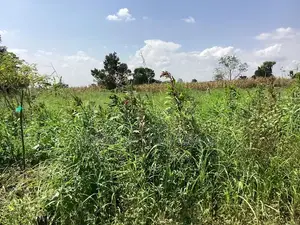100x100 in Bulamu Mityana Road 28,000,000