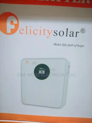 2.56kwh (100ah) 24volts Lithium Iron Phosphate Battery.