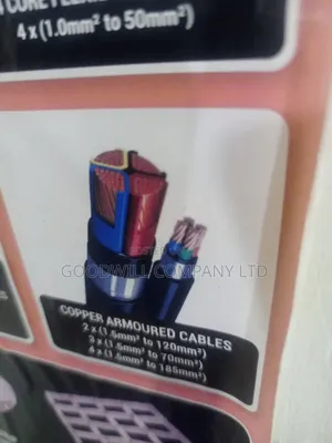 6mm Real Copper 6mm Armoured / Underground Cable