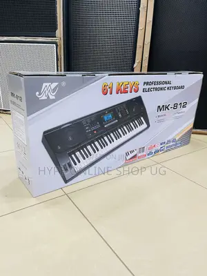 Brandnew 61keys,professional Electronic Keyboard Mk-813