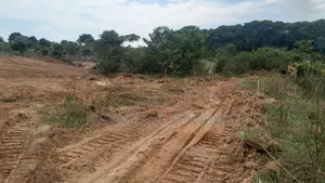 Kibanja Land 2 Acres Buwama Off Katebo Road