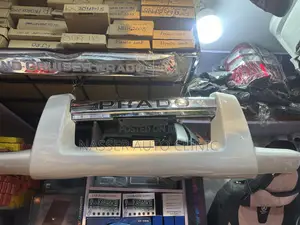 Prado 2003-09 Sample Guard