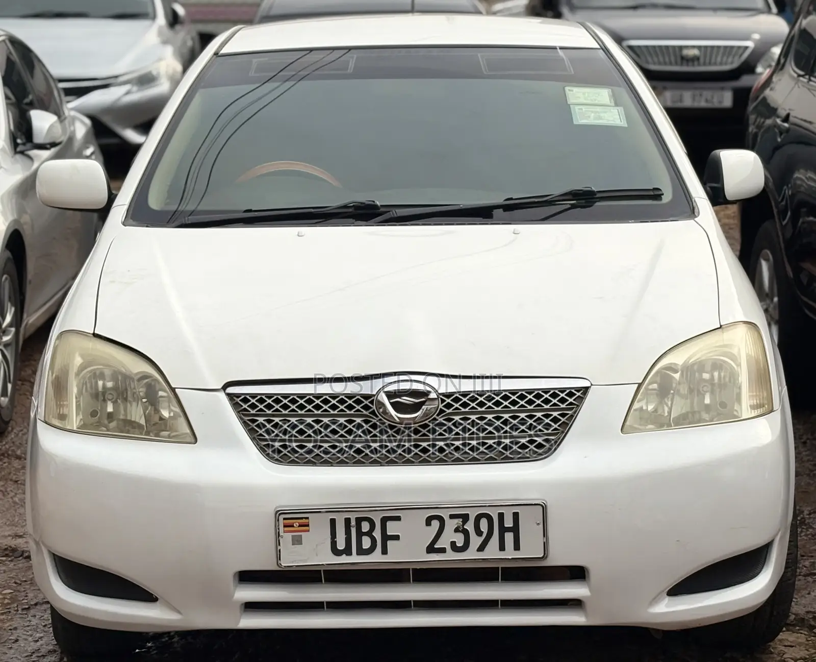 Toyota Allex 2007 White