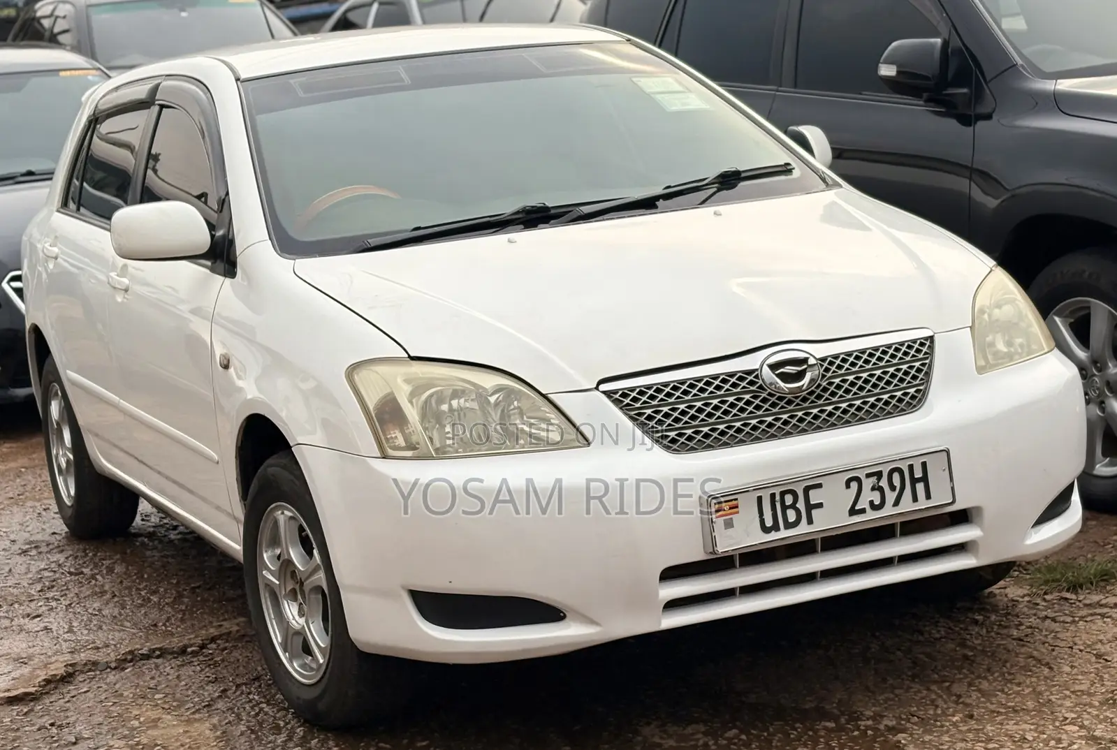 Toyota Allex 2007 White