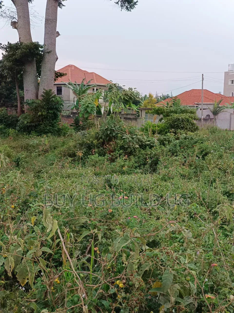 Bank Pressure 30decimals for Sale in 
Kawuku Bwelenga Entebbe at 140m