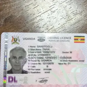 Driving Permit Plug