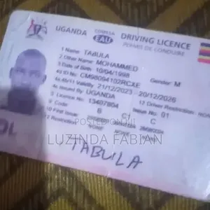 Driving Permit Plug