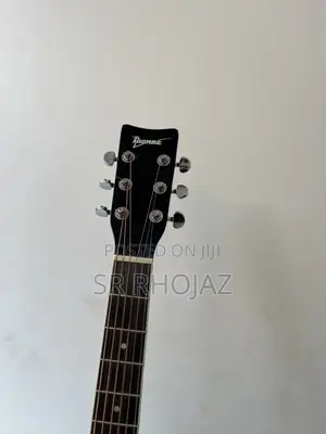 Acoustic Guitar
