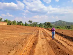 Vumba Town Estate Plots With Ready Land Titles