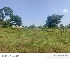 Quick Sale Buwate