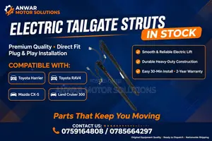 Electric Tailgate Struts