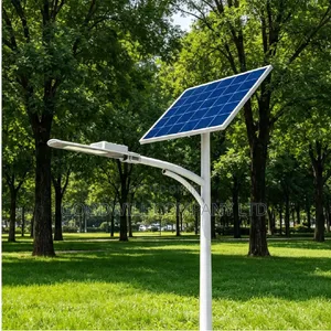 600w Blue Carbon Sword Solar Street Light