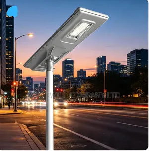 Blue Carbon All in One Integrated Solar Street Light