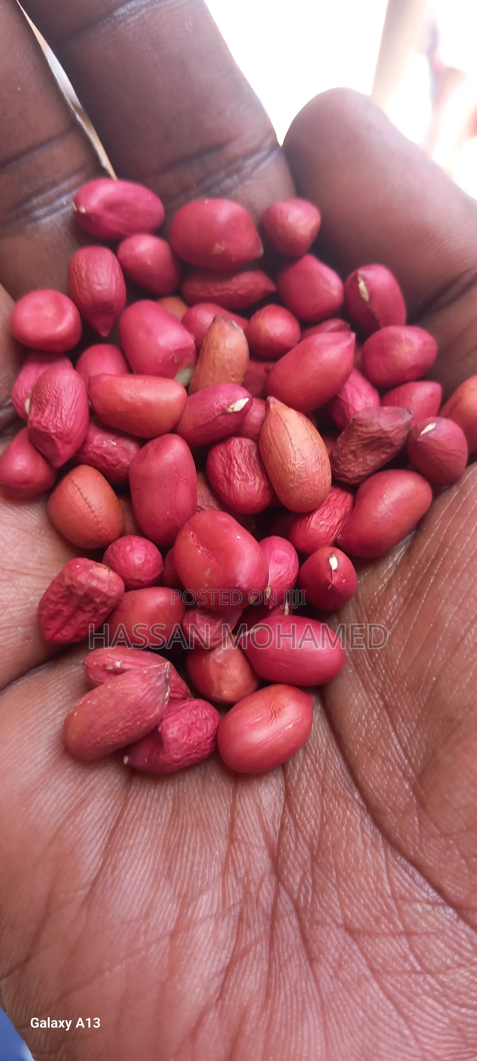 Wholesale Very Clean Sorted Ground Nuts at Good Price