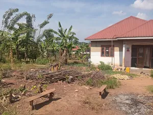 House on Sale