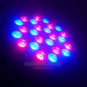 Par Lights - 36 Bulbs
